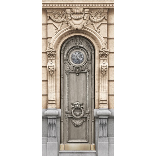 Door of haussmannian facade